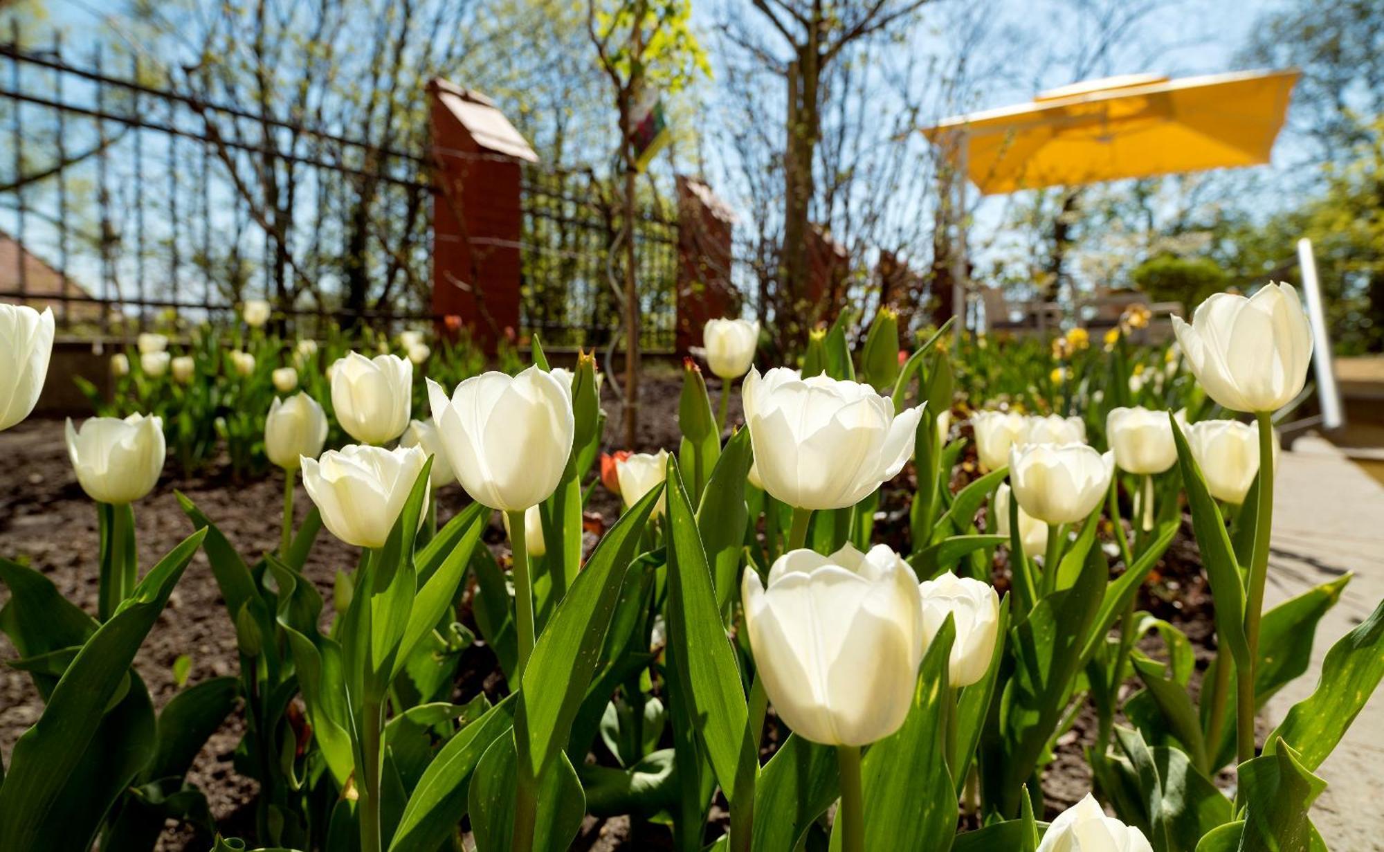Hotel Villa Monte Vino Potsdam Dış mekan fotoğraf